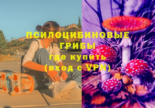 меф Вяземский