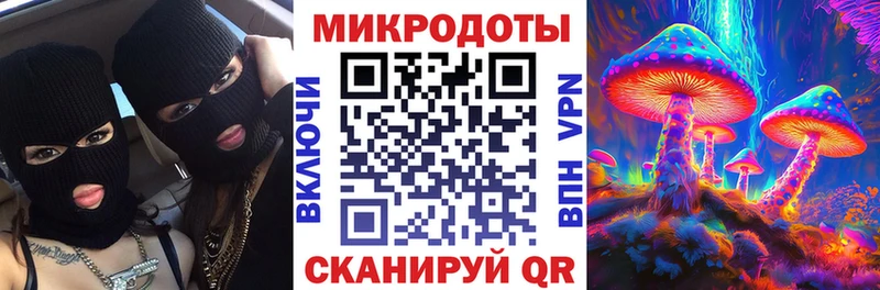 Псилоцибиновые грибы мухоморы Канаш